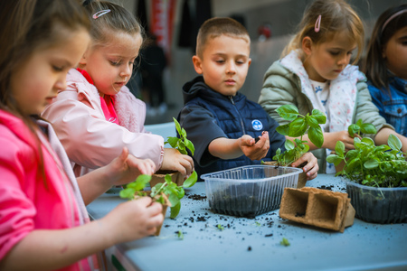 Dan Zemlje_Foto Daniel Skerjanc-0194